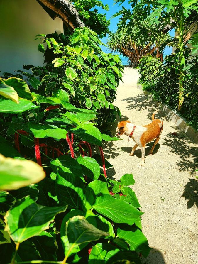 Almas Beach Boutique Hotel Makunduchi المظهر الخارجي الصورة