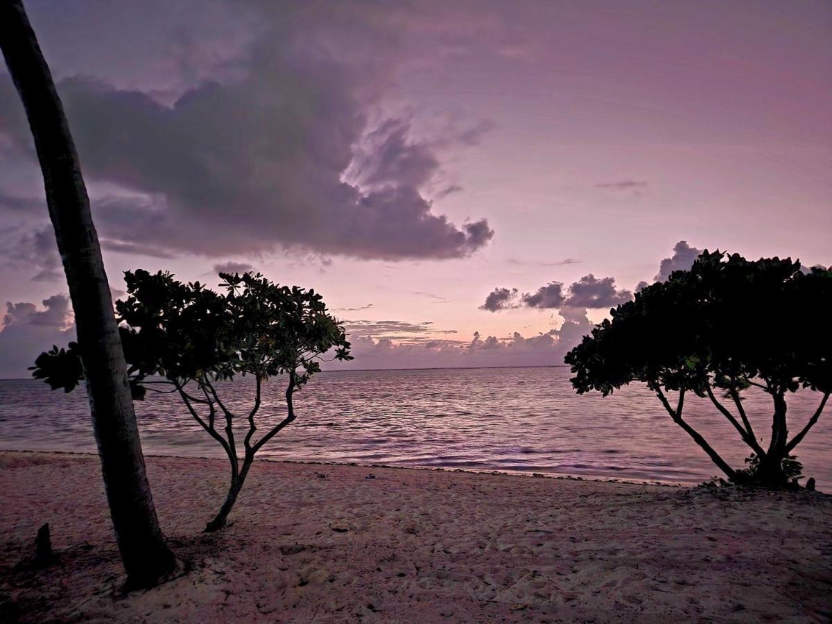 Almas Beach Boutique Hotel Makunduchi المظهر الخارجي الصورة